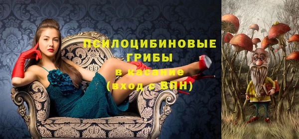 прущие грибы Лиски