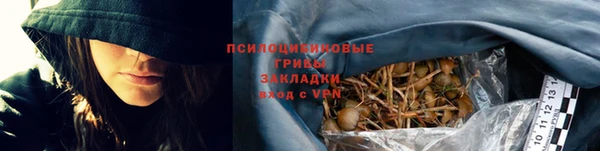 прущие грибы Лиски
