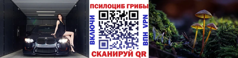 darknet состав  Суворов  Галлюциногенные грибы MAGIC MUSHROOMS  наркота 