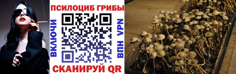 Псилоцибиновые грибы GOLDEN TEACHER Суворов